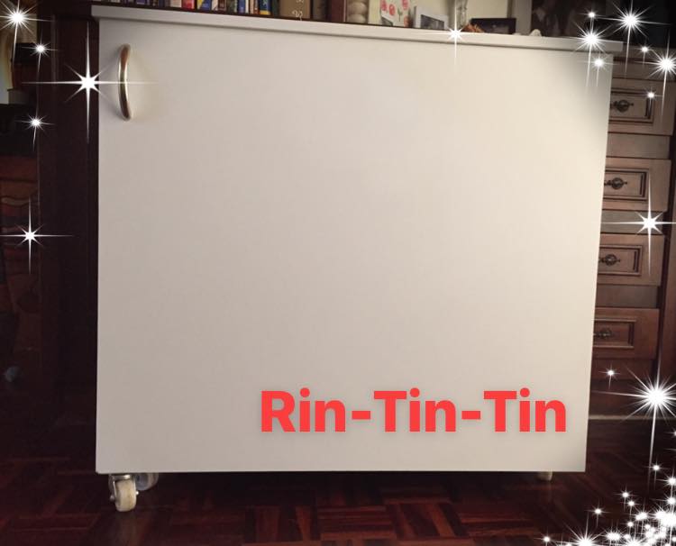 RinTinTin